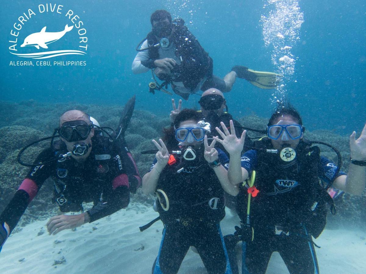 Alegria Dive Resort Exterior photo