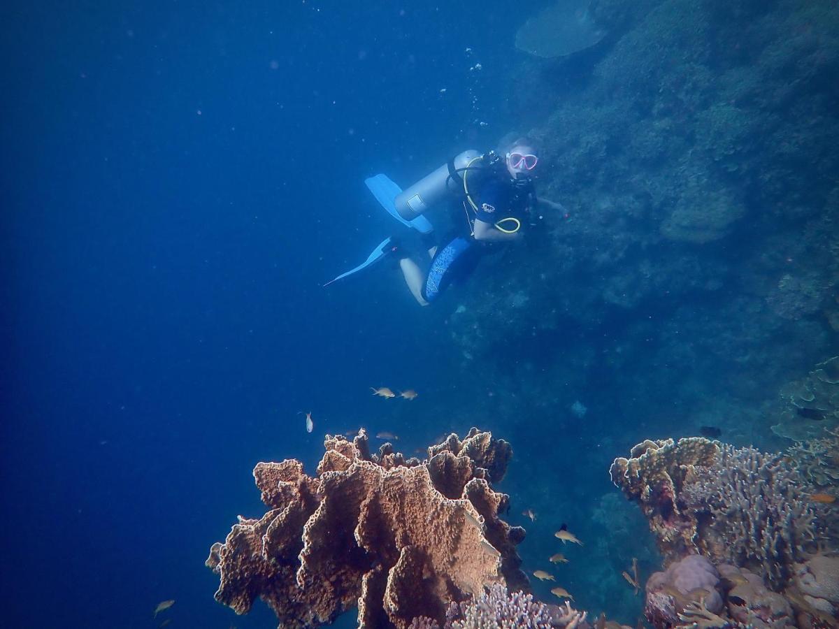 Alegria Dive Resort Exterior photo